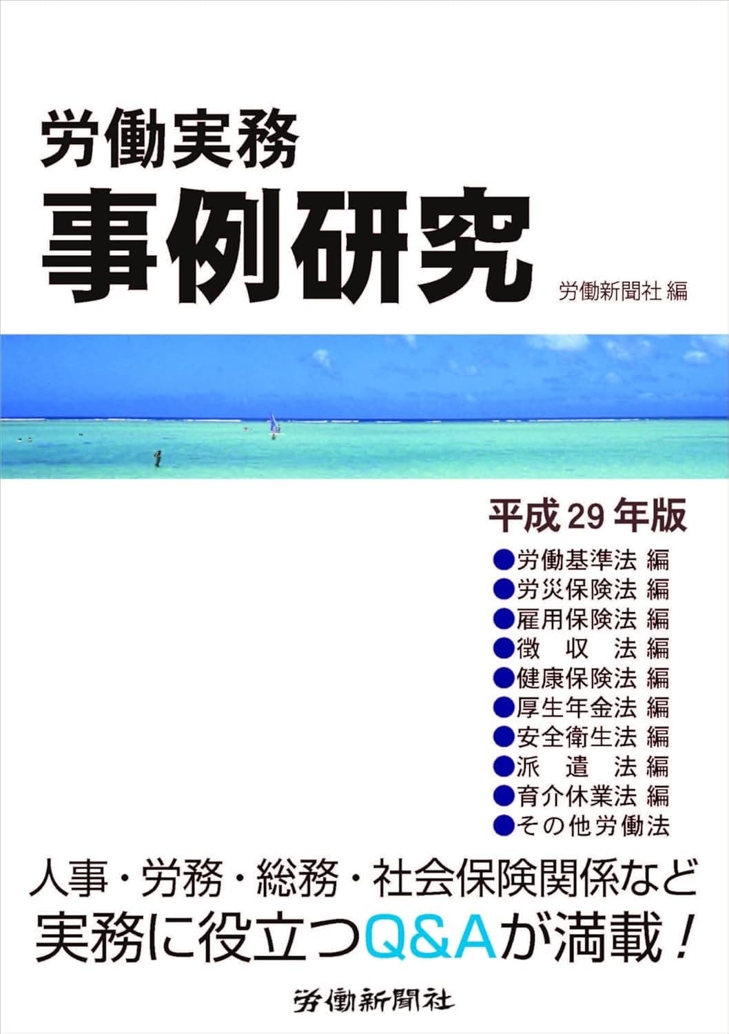 労働実務事例研究 平成29年版の表紙